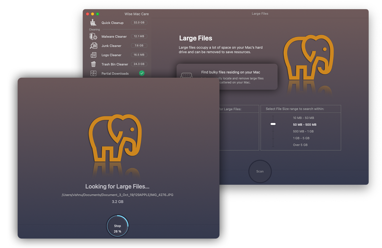 Large Files Finder